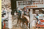 Winter rodeo